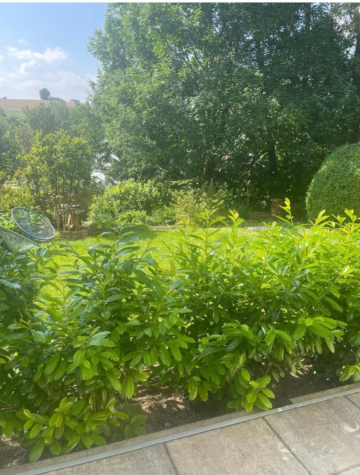 "Zur Gelassenheit" In Jugendstilvilla Sonnenschein Stolberg  Exterior foto